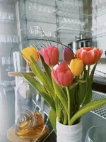 Vineta Strandhotels