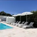 Il Leone di Mare