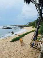 All View Resort