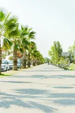Ci Thorno Hotel