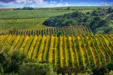 Hotel Vinice Hnanice