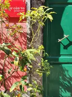 Boutique Hotel Novecento