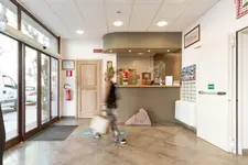 Hotel Domomea