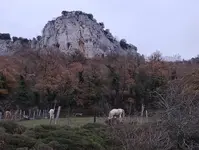 Hotel Rural La Engaña