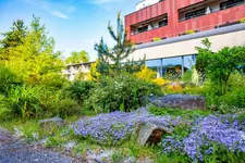 Amenity Hotel & Resort Lipno
