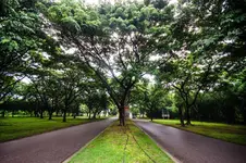 Tawa Ravadee Resort Prachinburi (ทวาราวดี รีสอร์ท ปราจีนบุรี)