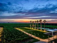 Masseria Torleanzi Wine Relais