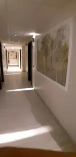 Continental Urban Art Hotel
