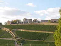 Schlosshotel Steinburg