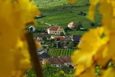 Hotel Garni Weinberghof & Weingut Lagler