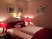 Hotel Der Schwan
