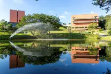 Almenat Embu Das Artes