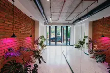 About Sololaki