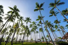 Viva V Samana by Wyndham
