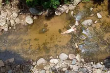 The River Maekampong Chiang Mai (เดอะริเวอร์ แม่กำปอง)