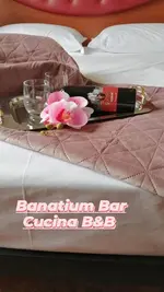 B&B Banatium