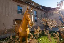 Hotel Les Haras