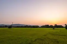 The Kaziranga Address