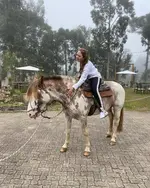 WoodStone Hotel Fazenda