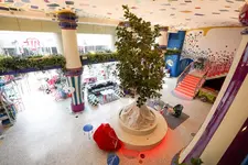 The Fig Lobby