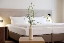 DiMas Hotel Ettenheim