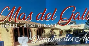 Hôtel Restaurant Mas del Gall