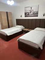 Hotel Villa Ovidiu