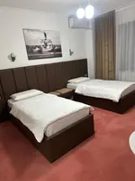 Hotel Villa Ovidiu