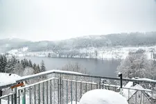 Nature Titisee