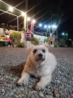 Saan Rak Resort