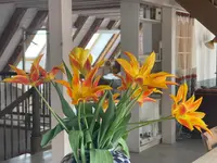Boutique-Hotel Guesthouse Le Locle