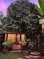 Igabara Hobbit House