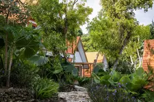 Deep Roots Dive & Yoga Resort