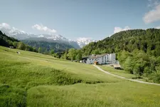 Das Graseck