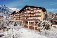 Hotel Alpina