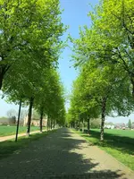 Gut Dyckhof
