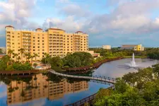 Hilton St. Petersburg Carillon Park