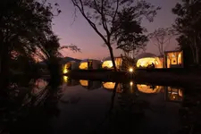 The Chamuang Forest