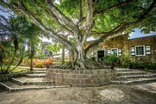 Montpelier Plantation & Beach