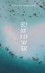 Sunflower Guesthouse & Animal Rescue