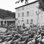 Auberge du Bourguet