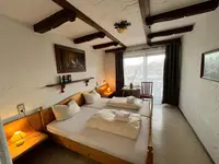 Hotel Negele