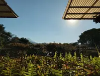 Hacienda Los Volcanes