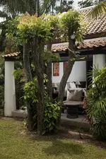 Celes Samui
