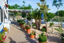 4Ever Palace Design & Nature