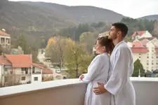 Hotel Zeleni Grad