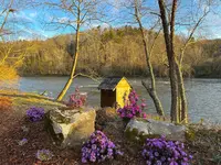 Asheville River Cabins