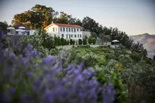 Il Leccio (Luxury Resort Portofino Monte)