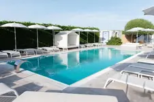 Il Leone di Mare