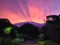 Coffee Estate Inn